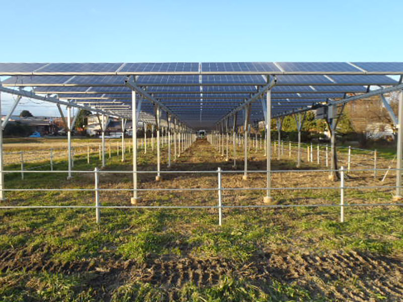 営農型太陽光装置