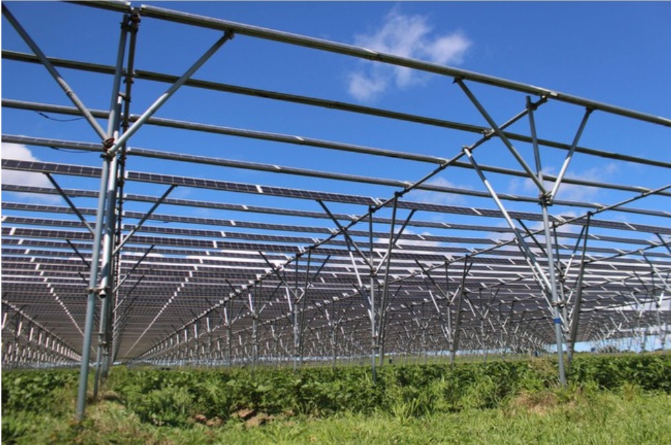 営農型太陽光発電架台