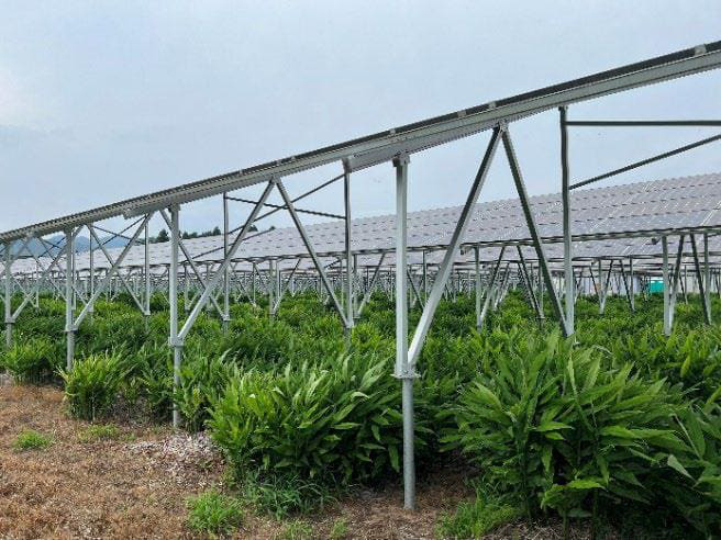 再生可能エネルギー 営農型太陽光発電 ソーラーシェアリング架台