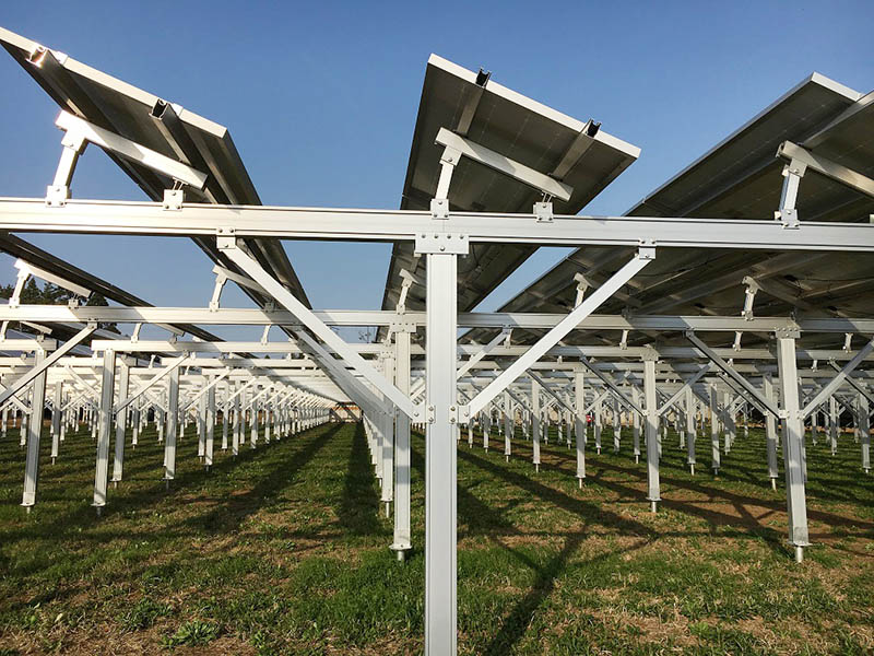 埼玉県に設置した営農型太陽光発電システムが稼働