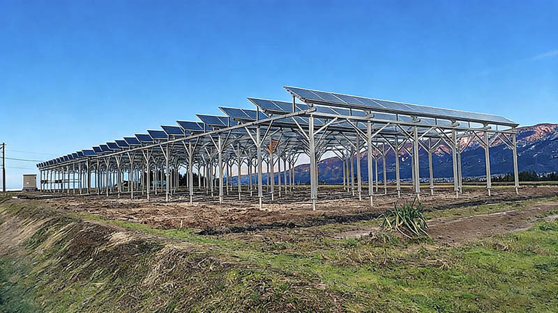 雪に強いソーラシェアリングのご紹介：富山県南砺市での施工事例