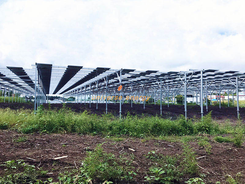 静岡県設置の茶畑用営農型太陽光設備が完成