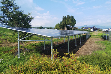 自然電力、営農型太陽光で農業ベンチャーと提携