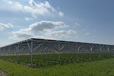 農林水産省、ソーラーシェアリング（営農型太陽光発電）で新基準　農山漁村再エネ法による適正化へ